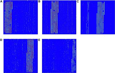 An in situ-Synthesized Gene Chip for the Detection of Food-Borne Pathogens on Fresh-Cut Cantaloupe and Lettuce